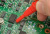 Fluke TL175 TwistGuard™ - измерительные провода